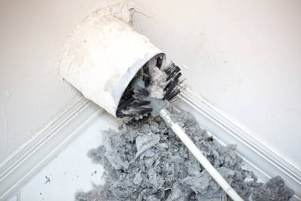 Air Duct Mold Removal in Prairie Du Chien, WI